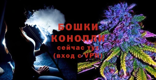 сатива Волоколамск