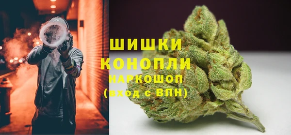 сатива Волоколамск